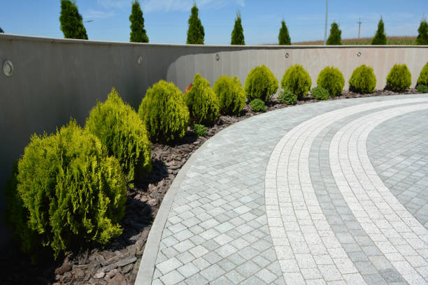Best Custom Driveway Pavers  in , NY